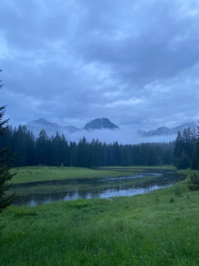 Guesthouse Andrea A Žabljak エクステリア 写真