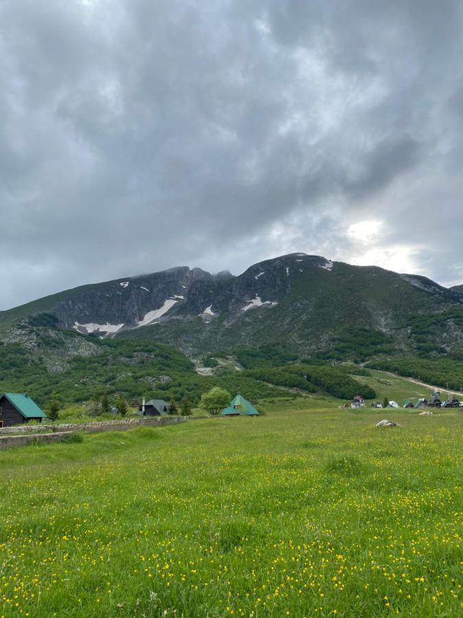 Guesthouse Andrea A Žabljak エクステリア 写真