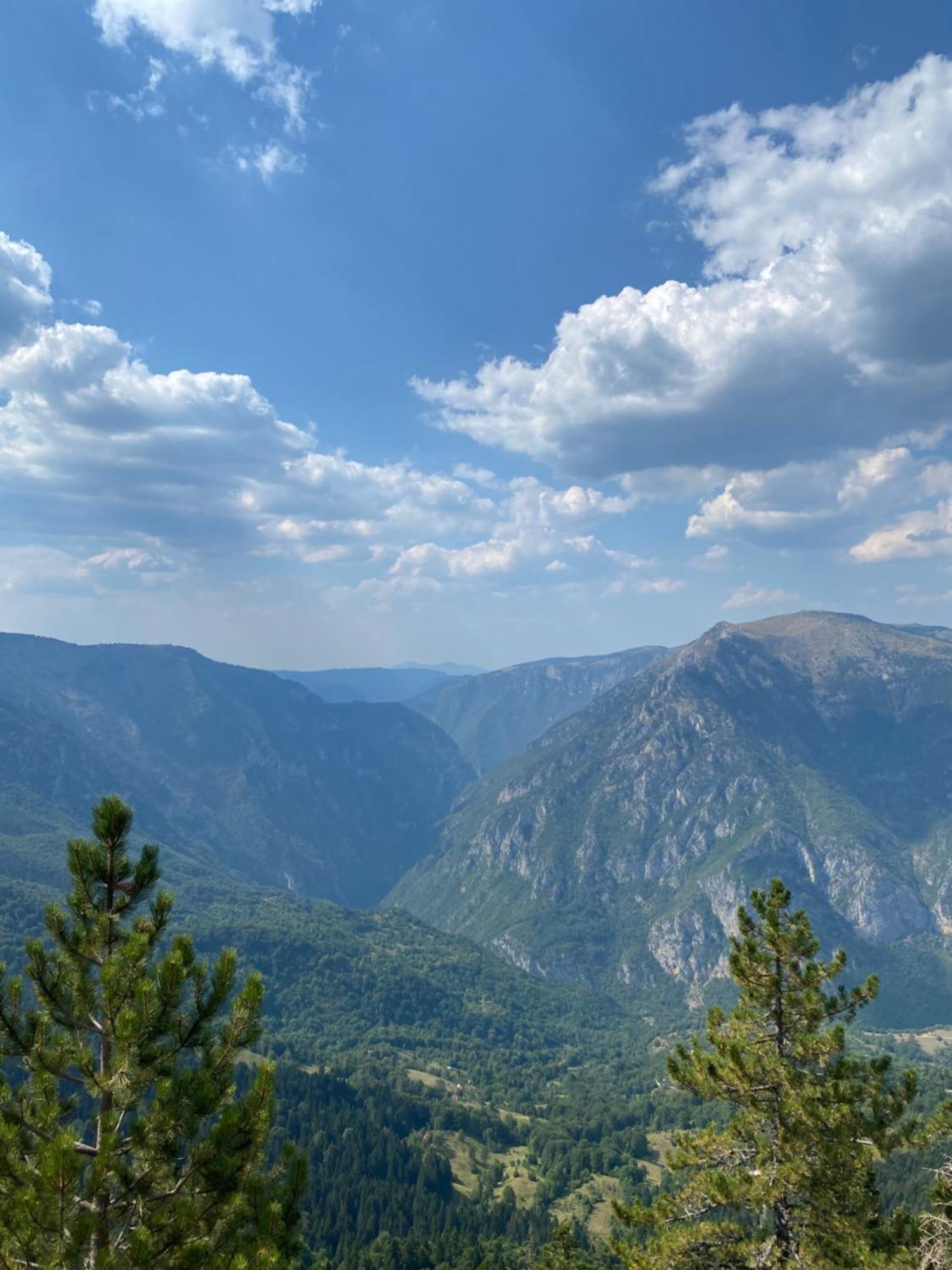 Guesthouse Andrea A Žabljak エクステリア 写真