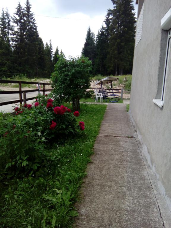Guesthouse Andrea A Žabljak エクステリア 写真